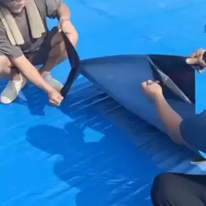 Blue Self Adhesive Waterproofing Membrane